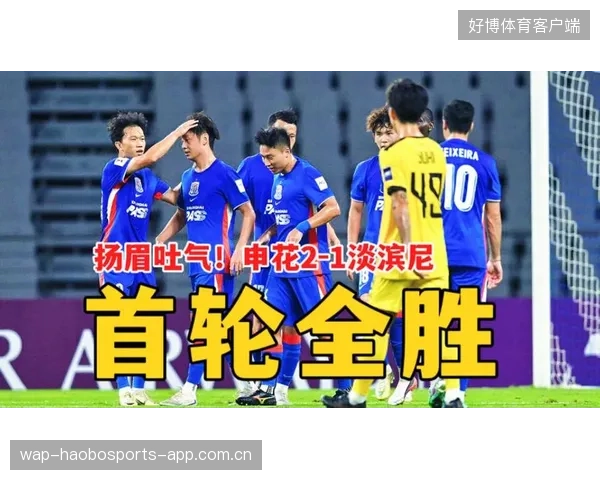 申花二比一淡滨尼流浪者：足球梦的逆袭与坚韧精神